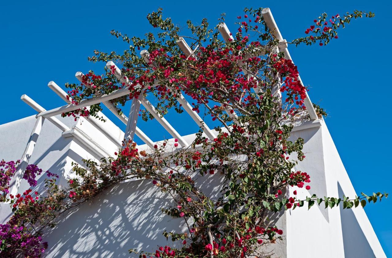 فيلا Casa Cozy Mykonos Town المظهر الخارجي الصورة